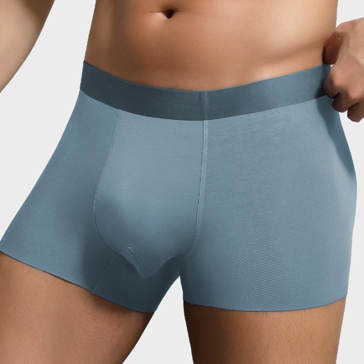 Mens Everyday Boxer Brief | Underwear Bottoms Mens